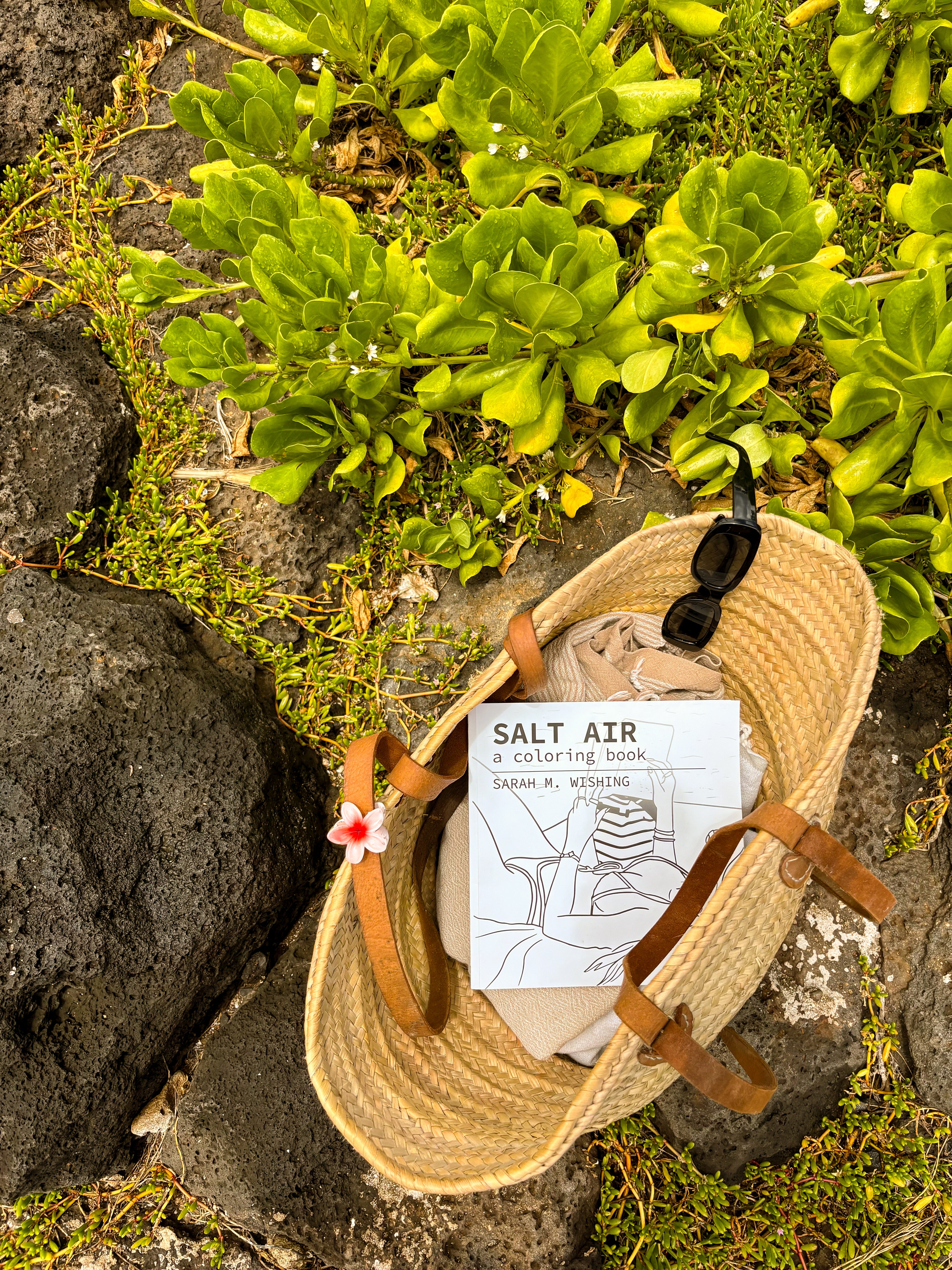 Salt Air - A Coloring Book by Sarah M Wishing